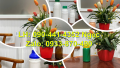 Vỏ chai nhựa 100ml phun sương, chai 250ml đựng mật ong, chai thủy tinh 500ml đựng tinh dầu xông hơi