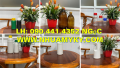 Vỏ chai nhựa 0.5 lít đựng hóa chất sinh học, chai nhựa 250ml đựng chất lỏng hóa học, chai 100ml phun sương