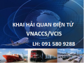 Học Khai hải quan điện tử - xuất nhập khẩu thực tế. LH: 091 580 92 88