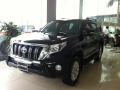 Xtrail 520tr, Attrage 232tr, Cerato 329tr, Grand i10 192tr, Honda City 346tr, Fiesta 344tr.