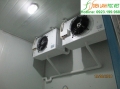 Kho lạnh bảo quản dược phẩm y tế