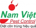 Dịch vụ pest control : diệt côn trùng, diệt muỗi, diệt kiến, diệt gián tại Tp. HCM