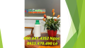 Chai thủy tinh 1000ml đựng hóa chất, vỏ chai nhựa 500ml đựng vi sinh, chai 250ml đựng chất diệt côn trùng