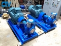 Máy bơm trục ngang đầu rời Stac