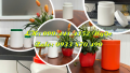 Hủ nhựa 200gr đựng bột thực phẩm, hủ nhựa 250gr đựng ngũ cốc, hủ nhựa 0.5 ký đựng phân bón dạng bột