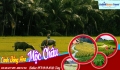 Cùng SaigonQueen Travel lên kế hoạch cho kỳ nghỉ lễ 30.04 và hè 2018 thôi nào