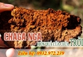 Những Thành Phần Trong Nấm Chaga Có Thể Bạn Chưa Biết!