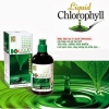 Nước \ diệp lục klink chính hãng giá rẻ nhất thị trường