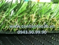 cỏ nhân tạo giá rẽ