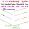 Chỗ bán sáo recorder giá rẻ tại gò vấp