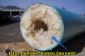 Ăn nhầm bột thông tắc cống thì phải làm sao?