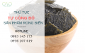 Thủ tục tự công bố chất lượng rong biển sấy khô