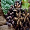 Thủ tục xuất khẩu hạt sachi (sacha inchi)