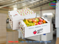 Chọn thiết kế thùng carton phù hợp mặt hàng trái cây