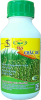 TKS - PBL Chắc Hạt