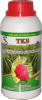 ĐẠM CÁ TKS - CÂY THANH LONG