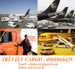 Chuyển phát nhanh đi Mỹ, Đức, Canada, New Zealand giá cực tốt