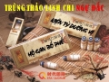 Trùng Thảo Linh Chi