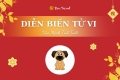 Sinh năm 2004 mệnh gì tuổi con gì? Vansunet