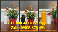 Chai thủy tinh 1 lít đựng hóa chất thí nghiệm, chai thủy tinh 500ml đựng axit mạnh, chai thủy tinh 250ml đựng AgN03