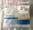 Hộp hạt mạng AMP cat 5, cat 6 USA giá rẻ