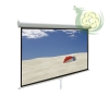 Màn chiếu ngược treo tường 120 inches