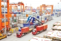 thủ tục cấp giấy chứng nhận lưu hành tự do đối với hàng xuất khẩu
