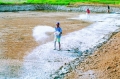 Nhận xử lý nước, diệt khuẩn cho hồ nuôi, đầm nuôi tôm, cá cá