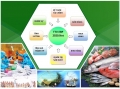 Phần mềm Quản lý Thủy Sản - TTVsoft