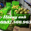 Tại đây bán sọt có quai sắt, sọt nhựa nguyên sinh, cung cấp sọt quai sắt toàn quốc, mua sọt quai sắt ở đâu