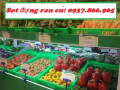 Sọt đựng rau viet grap, sọt cao 15, sọt rau củ trong siêu thị, sóng nhựa hở