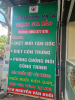 Dịch Vụ Diệt Mối Tận Gốc Tại Gò Vấp