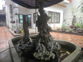 Bán đất kim ngưu vuông đẹp 24 tỷ 193 m2 120m2 đất ở 73m2 đất vườn