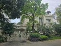 CHÍNH CHỦ BÁN BIỆT THỰ ĐƠN LẬP KHU VƯỜN TÙNG – KHU ĐÔ THỊ ECOPARK