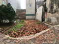 CẦN BÁN GẤP – LÔ ĐẤT 100M² – TỔ 3, QUANG MINH, MÊ LINH, HÀ NỘI