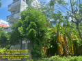 CHÍNH CHỦ Cần Bán Nhanh Lô Đất  Đẹp Khu 13C Greenlife Vị Trí Tại Huyện Bình Chánh, TP HCM