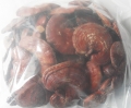 Nấm Lim Xanh món quà ý nghĩa trong ngày tết