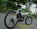Xe đạp điện trợ lực Nhật