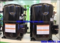 cung cấp máy nén lạnh copeland nhập khẩu giá rẻ