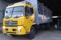 Cần Tuyển Gấp Lái Xe, Phụ Xe