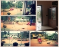 Cần bán nhà vườn, 10.000m2, tại xã Trần Phú, huyện Chương Mỹ, TP Hà Nội.