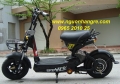 Khuyến mãi cực sốc xe đạp điện Bò Điên M133 giá 8tr2