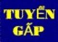 Tuyển Gấp Nam, Nữ LĐPT Bảo Vệ Thời Vụ 30/4 (Bao Ăn Ở)
