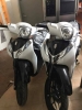bán sh nhập giá rẻ zin 100%