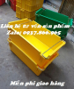 Khay nhựa đặc chuyên đựng đồ kim khí, thùng nhựa có quai sắt 2 đầu, thùng nhựa A2