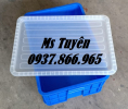 Giá thùng đặc cao 25 bao nhiêu tiền, thùng công nghiệp, thùng nhựa nguyên sinh