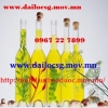 Tinh dầu Bạc Hà