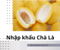 Thủ tục nhập khẩu quả Chà là