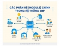 Phần mềm ERP Việt Nam