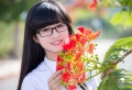 Cần tìm học sinh, sinh viên phát tờ rơi